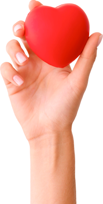 Cardiologia